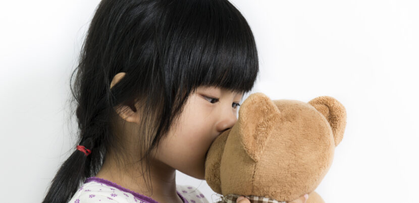 The Top 5 Child Custody Issues in the United States-Image