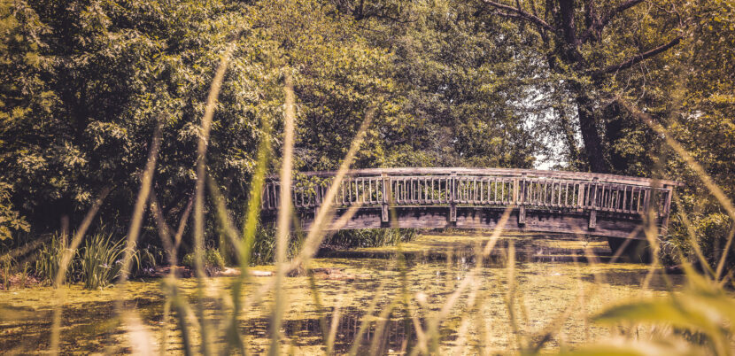 4 New Jersey Estate Planning Laws Essential for Every Estate-Image