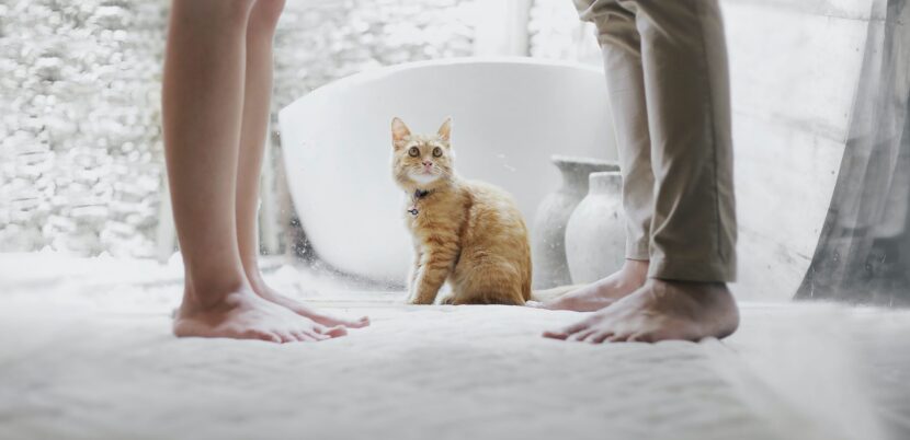 How Marriage Length Affects New Jersey Men and Fathers Getting a Divorce-Image