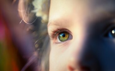 Determining the Child’s Best Interest in Custody Cases